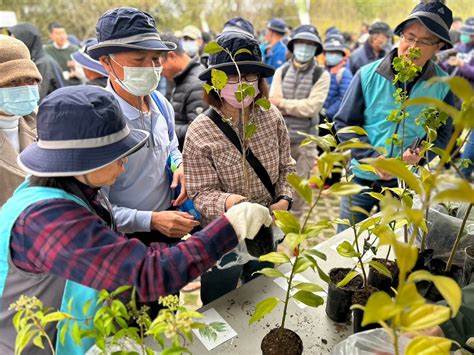 常見樹種|臺灣原生樹木推廣及媒合平臺